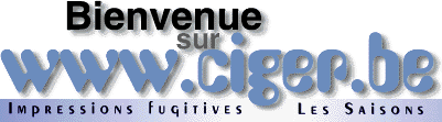 Bienvenue sur www.ciger.be